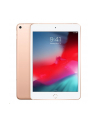 apple iPad mini Wi-Fi + Cellular 64GB - Gold - nr 20