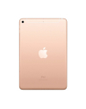 apple iPad mini Wi-Fi + Cellular 256GB - Gold - nr 25