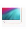 apple iPadAir 10.5-inch Wi-Fi + Cellular 256GB - Gold - nr 14