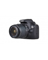 Cyfrowa lustrzanka Canon EOS 2000D BK 18-55 IS+50 1.8S EU26 - nr 10