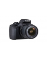 Cyfrowa lustrzanka Canon EOS 2000D BK 18-55 IS+50 1.8S EU26 - nr 8