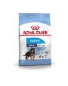 Karma Royal Canin SHN Maxi Puppy (4 kg ) - nr 2