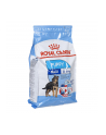 Karma Royal Canin SHN Maxi Puppy (4 kg ) - nr 1