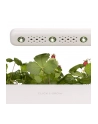 click and grow Click&Grow Inteligentna doniczka Smart Garden 3 Dark Grey - nr 11