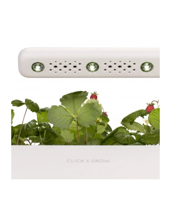 click and grow Click&Grow Inteligentna doniczka Smart Garden 3 Dark Grey