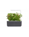 click and grow Click&Grow Inteligentna doniczka Smart Garden 3 Dark Grey - nr 5