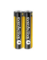 Baterie alkaliczne everActive EVLR03S2IK (40) - nr 4