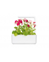 click and grow Click&Grow Inteligentna doniczka Smart Garden 3 White - nr 15