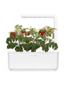 click and grow Click&Grow Inteligentna doniczka Smart Garden 3 White - nr 3