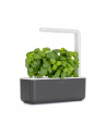 click and grow Click&Grow Inteligentna doniczka Smart Garden 3 Dark Grey - nr 10