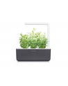 click and grow Click&Grow Inteligentna doniczka Smart Garden 3 Dark Grey - nr 15