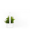 click and grow Click&Grow Inteligentna doniczka Smart Garden 9 White - nr 13