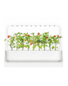 click and grow Click&Grow Inteligentna doniczka Smart Garden 9 White - nr 1