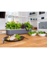 click and grow Click&Grow Inteligentna doniczka Smart Garden 9 White - nr 28