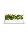 click and grow Click&Grow Inteligentna doniczka Smart Garden 9 White - nr 2