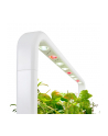 click and grow Click&Grow Inteligentna doniczka Smart Garden 9 White - nr 3