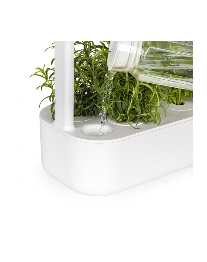 click and grow Click&Grow Inteligentna doniczka Smart Garden 9 White główny