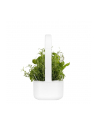 click and grow Click&Grow Inteligentna doniczka Smart Garden 9 White - nr 8