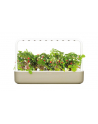 click and grow Click&Grow Inteligentna doniczka Smart Garden 9 Beige - nr 3