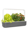 click and grow Click&Grow Inteligentna doniczka Smart Garden 9 Dark Grey - nr 10