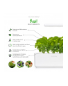 click and grow Click&Grow Kapsułki z nasionami Smart Soil Bazylia 3pak - nr 14