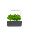 click and grow Click&Grow Kapsułki z nasionami Smart Soil Bazylia 3pak - nr 16