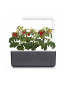 click and grow Click&Grow Kapsułki z nasionami Smart Soil Pomidorki koktajlowe 3pak - nr 10