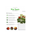 click and grow Click&Grow Kapsułki z nasionami Smart Soil Pomidorki koktajlowe 3pak - nr 7