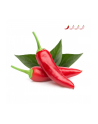 click and grow Click&Grow Kapsułki z nasionami Smart Soil Papryczka Chili 3pak - nr 9