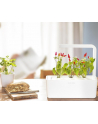 click and grow Click&Grow Kapsułki z nasionami Smart Soil Papryczka Chili 3pak - nr 4
