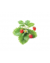 click and grow Click&Grow Kapsułki z nasionami Smart Soil Poziomka 3pak - nr 11
