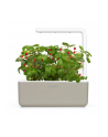 click and grow Click&Grow Kapsułki z nasionami Smart Soil Poziomka 3pak - nr 2