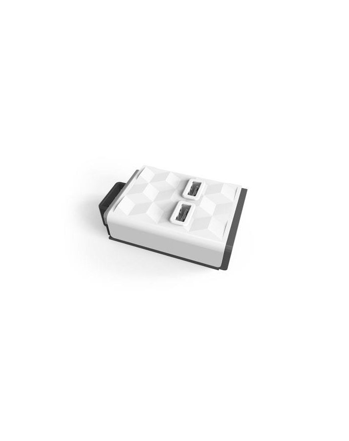 Moduł allocacoc Module 10096/MDUSB2 (2 x USB; kolor biały) główny