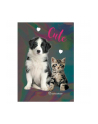 Notes holograficzny A5 Rachael Hale RLE-3680 Paso - nr 1