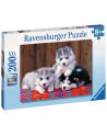 ravensburger Puzzle 200el XXL Szczenięta Husky 128235 - nr 4