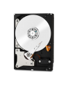 western digital Dysk WD Red 6TB 3,5 256MB  WD60EFAX - nr 12