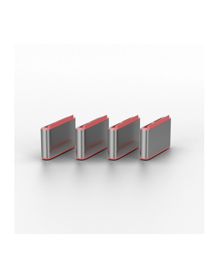 Lindy USB-C port locks 10pcs główny