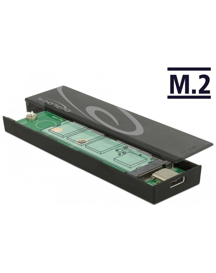 DeLOCK Enclosure M.2 SSD USB-C główny