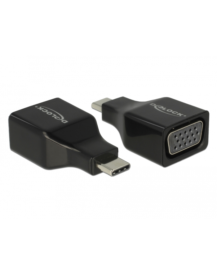 DeLOCK USB C Adapter> VGA główny