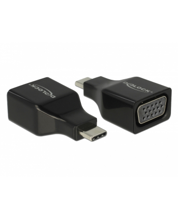 DeLOCK USB C Adapter> VGA