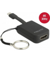 DeLOCK USB C> HDMI 4K 30Hz Keypad - nr 3
