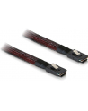 DeLOCK cable SFF-8087 -> SFF-8087 1m - nr 2