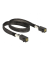 DeLOCK cable SFF-8643 -> SFF-8643 0,5m - nr 11
