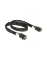 DeLOCK cable SFF-8643 -> SFF-8643 0,5m - nr 1