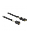 DeLOCK cable SFF-8643 -> SFF-8087 1m - nr 2