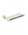 DeLOCK 10 Patchpanel 12P Cat .6A 0,5HE gray - nr 6