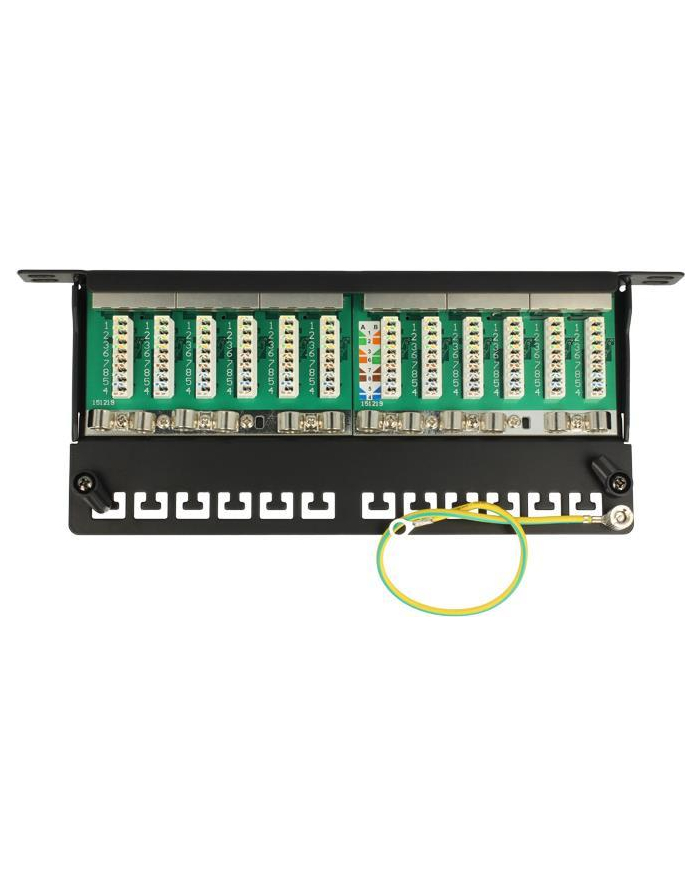 DeLOCK 10 Patchpanel 12P Cat.6A 0,5HE black główny