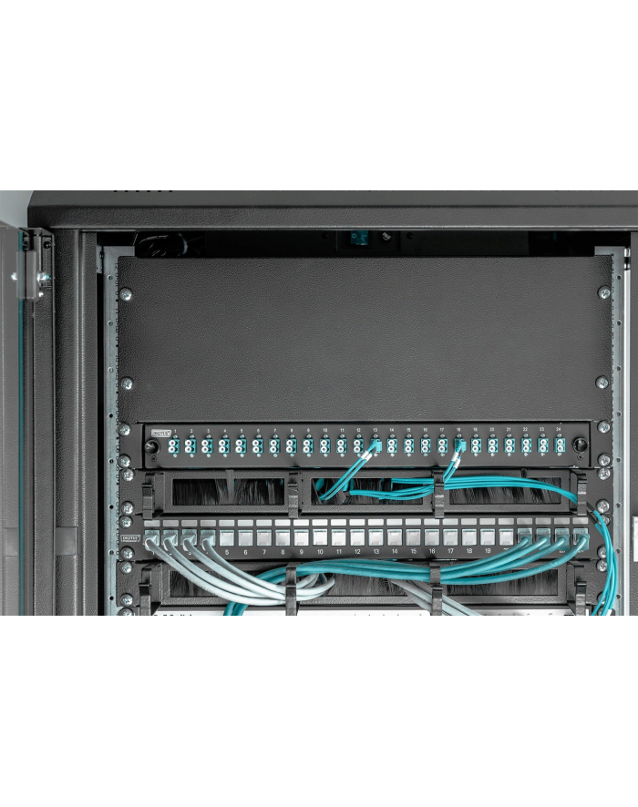 Digitus 19 - blind cover - 4HE - RAL9005 główny
