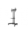 HAGOR M Public Floorstand - nr 19