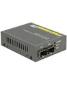 DeLOCK media converter 10 GB - Base-R SFP + to SFP + - nr 1